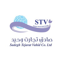 STV Holding